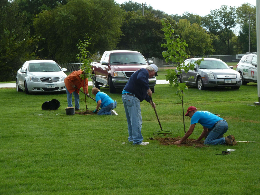Shellsburg volunteers plant trees